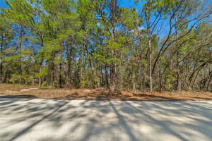 13085 TINAMOU AVENUE, WEEKI WACHEE, FL 34614 Sold 03/13/26