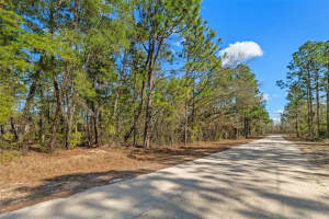 13085 TINAMOU AVENUE, WEEKI WACHEE, FL 34614 Sold 03/13/26