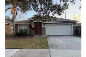 19143 DOVE CREEK DRIVE, TAMPA, FL 33647 - MLS#MFRTB8469640