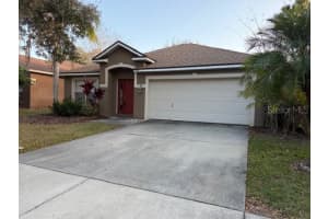 19143 DOVE CREEK DRIVE, TAMPA, FL 33647 - MLS#MFRTB8469640