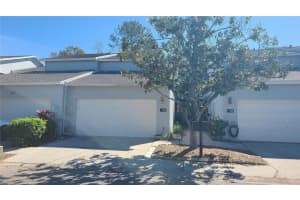 114 W Targa Ct, TAMPA