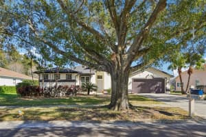4909 WILLOW RIDGE TERRACE, VALRICO, FL 33596 - MLS#MFRTB8469671