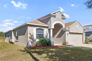 8806 SANDY PLAINS DRIVE, RIVERVIEW, FL 33578 - MLS#MFRTB8469716