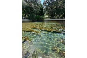 24905 130TH STREET, FORT MC COY, FL 32134 - MLS#MFRTB8469719