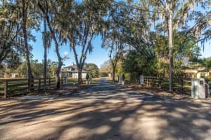 6535 LAKE IRENE DRIVE, LAND O LAKES, FL 34638 - MLS#MFRTB8469721