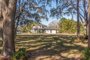 6535 LAKE IRENE DRIVE, LAND O LAKES, FL 34638 - MLS#MFRTB8469721