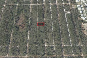 533 PARROT AVENUE, SEBRING, FL 33870 - MLS#MFRTB8469726