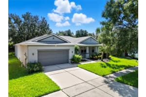 11724 HOLLY CREEK DRIVE, RIVERVIEW, FL 33569 - MLS#MFRTB8469733