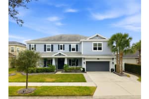 33564 WILLOW POINT COURT, WESLEY CHAPEL, FL 33545 - MLS#MFRTB8469746