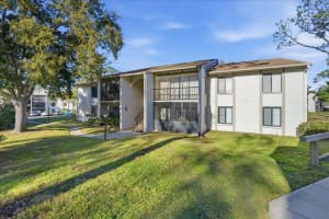 2666 PINE RIDGE WAY, PALM HARBOR, FL 34684 - MLS#MFRTB8469755