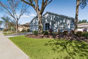 5956 DESERT PEACE AVENUE, LAND O LAKES, FL 34639 - MLS#MFRTB8469799