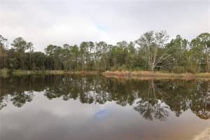 2803 LOTUS FLOWER TRAIL, WESLEY CHAPEL, FL 33543 - MLS#MFRTB8469830