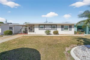 1607 COUNCIL DRIVE, SUN CITY CENTER, FL 33573 - MLS#MFRTB8469834