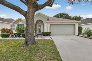 5529 TERRAIN DE GOLF DRIVE, LUTZ, FL 33558 - MLS#MFRTB8469859