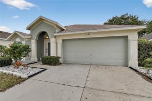 5529 TERRAIN DE GOLF DRIVE, LUTZ, FL 33558 - MLS#MFRTB8469859