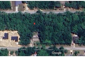 3054 GRIFFIN STREET, INVERNESS, FL 34453 - MLS#MFRTB8469865