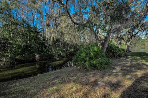 1462 WOODSTREAM DRIVE, OLDSMAR, FL 34677 - MLS#MFRTB8469868