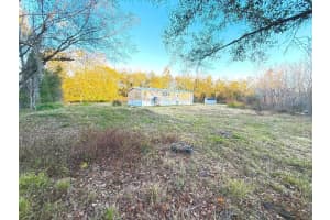 15356 APACHE DRIVE, THONOTOSASSA, FL 33592 - MLS#MFRTB8469890