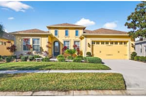 7035 Peregrina Loop, WESLEY CHAPEL