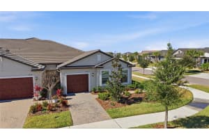 10162 ECHO DOCK LOOP, SAN ANTONIO, FL 33576 - MLS#MFRTB8469912