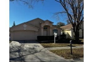 229 Chardonnay Pl, VALRICO