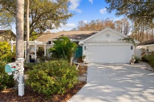 1675 Polo Club Dr, TARPON SPRINGS