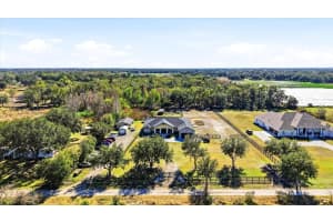 8447 HARVEY WALDEN DRIVE, PLANT CITY, FL 33565 - MLS#MFRTB8469967