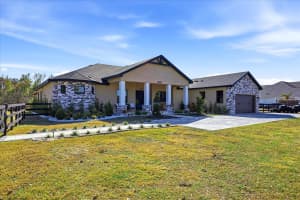 8447 HARVEY WALDEN DRIVE, PLANT CITY, FL 33565 - MLS#MFRTB8469967