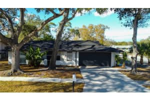 101 Nestlebranch Dr, SAFETY HARBOR
