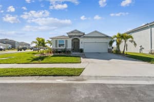 11965 MUSKEGON COURT, PARRISH, FL 34219 - MLS#MFRTB8469986