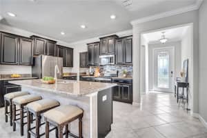 32101 GODDARD DRIVE, WESLEY CHAPEL, FL 33543 - MLS#MFRTB8470025