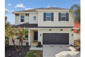 33102 Shadow Branch Ln, WESLEY CHAPEL