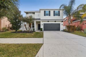 33102 SHADOW BRANCH LANE, WESLEY CHAPEL, FL 33545 - MLS#MFRTB8470089