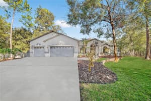 8518 QUAIL HOLLOW BOULEVARD, WESLEY CHAPEL, FL 33544 - MLS#MFRTB8470102