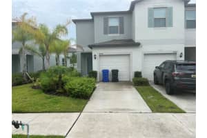 4540 Globe Thistle Dr, TAMPA 4540 Globe Thistle Dr, TAMPA