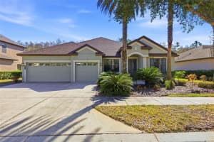 7907 Hampton Lake Dr, TAMPA