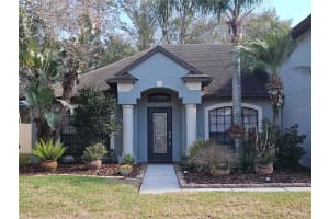 10740 RAIN LILLY PASS, LAND O LAKES, FL 34638 - MLS#MFRTB8470122
