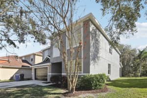 20407 SULTANA COURT, TAMPA, FL 33647 - MLS#MFRTB8470136