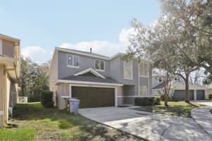 20407 SULTANA COURT, TAMPA, FL 33647 - MLS#MFRTB8470136