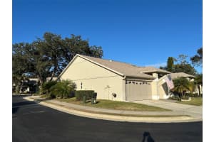 3535 BIRKDALE LANE, PALM HARBOR, FL 34684 - MLS#MFRTB8470138