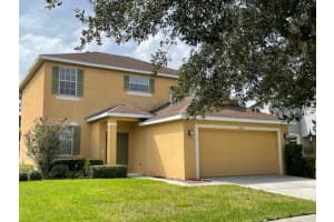 20117 Bay Cedar Ave, TAMPA