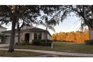 20445 AUTUMN FERN AVENUE, TAMPA, FL 33647 - MLS#MFRTB8470148