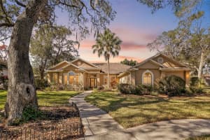 502 Little Eagle Ct, VALRICO