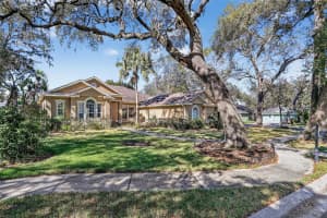 502 LITTLE EAGLE COURT, VALRICO, FL 33594 - MLS#MFRTB8470198