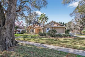 502 LITTLE EAGLE COURT, VALRICO, FL 33594 - MLS#MFRTB8470198