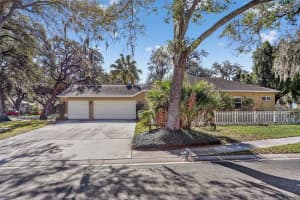 502 LITTLE EAGLE COURT, VALRICO, FL 33594 - MLS#MFRTB8470198