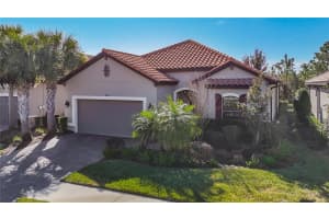 8613 Grand Alberato Rd, TAMPA 8613 Grand Alberato Rd, TAMPA