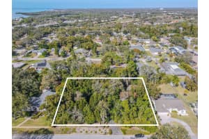 809 CARDINAL AVENUE, PALM HARBOR, FL 34683 - MLS#MFRTB8470211