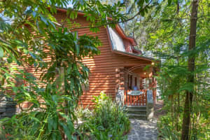 809 CARDINAL AVENUE, PALM HARBOR, FL 34683 - MLS#MFRTB8470211