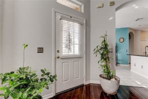 19131 LAKE AUDUBON DRIVE, TAMPA, FL 33647 - MLS#MFRTB8470215